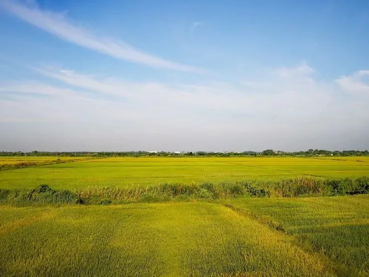 1652931354292856.jpg 4.jpg